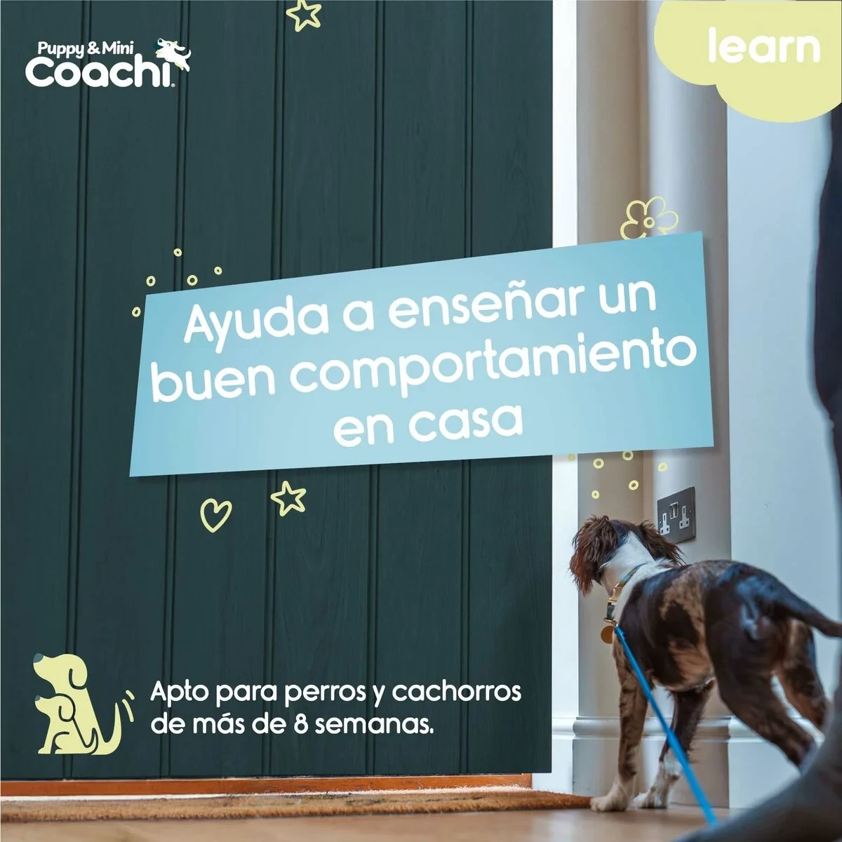 Arnés para Perro Coachi