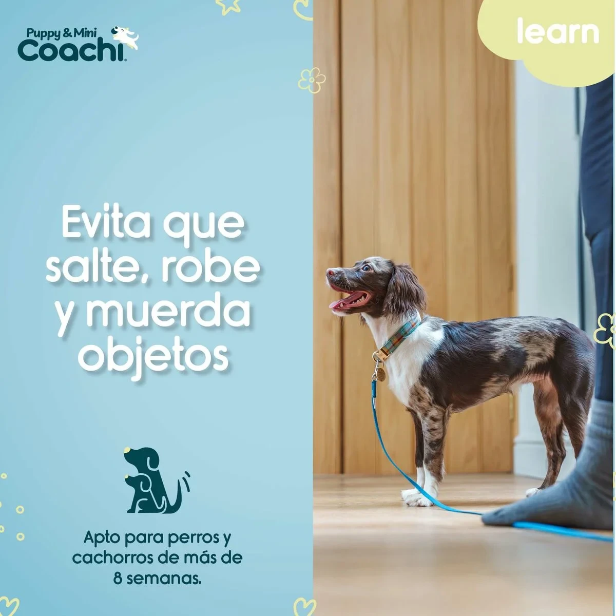 Arnés para Perro Coachi