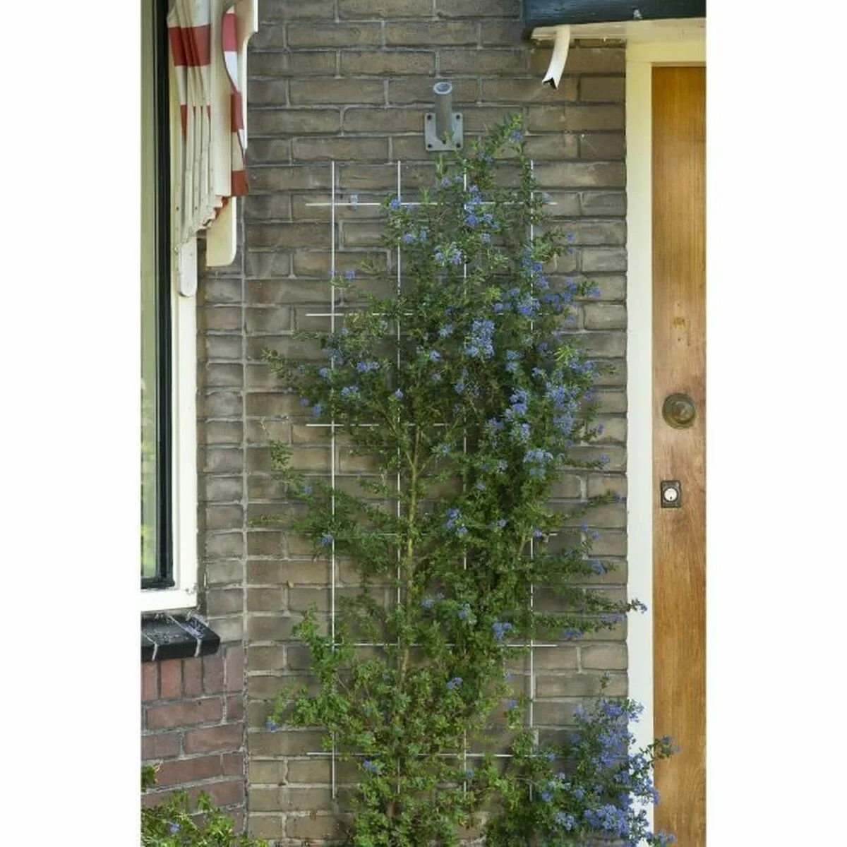 Valla de Jardín Nature Verde Acero Galvanizado 42,5 x 145 cm