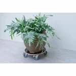 Soporte con Ruedas para Macetas Nature Madera Ø 38 cm