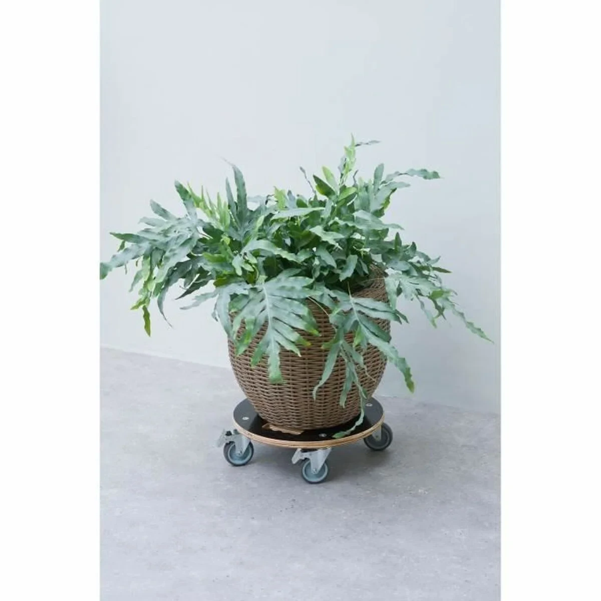 Soporte con Ruedas para Macetas Nature Madera Ø 38 cm