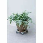 Soporte con Ruedas para Macetas Nature Madera Ø 38 cm