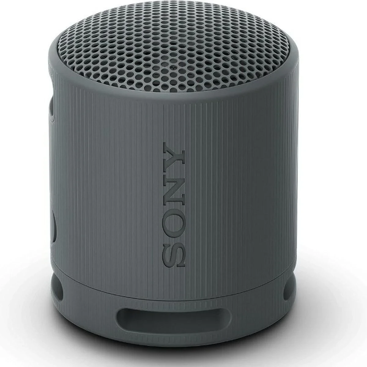 Altavoz Bluetooth Portátil Sony XB100 Negro