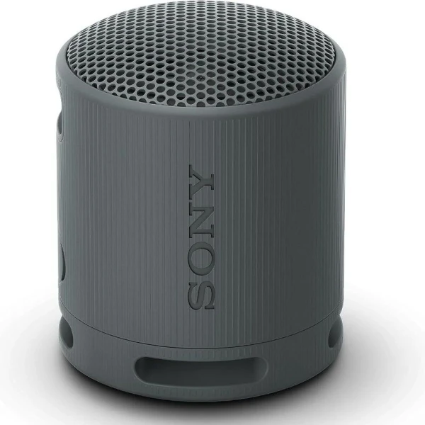 Altavoz Bluetooth Portátil Sony XB100 Negro