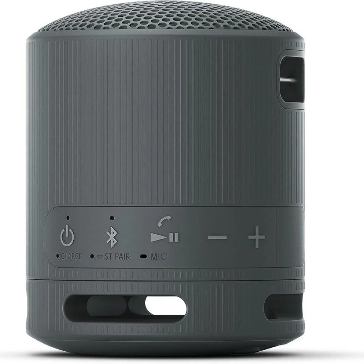 Altavoz Bluetooth Portátil Sony XB100 Negro