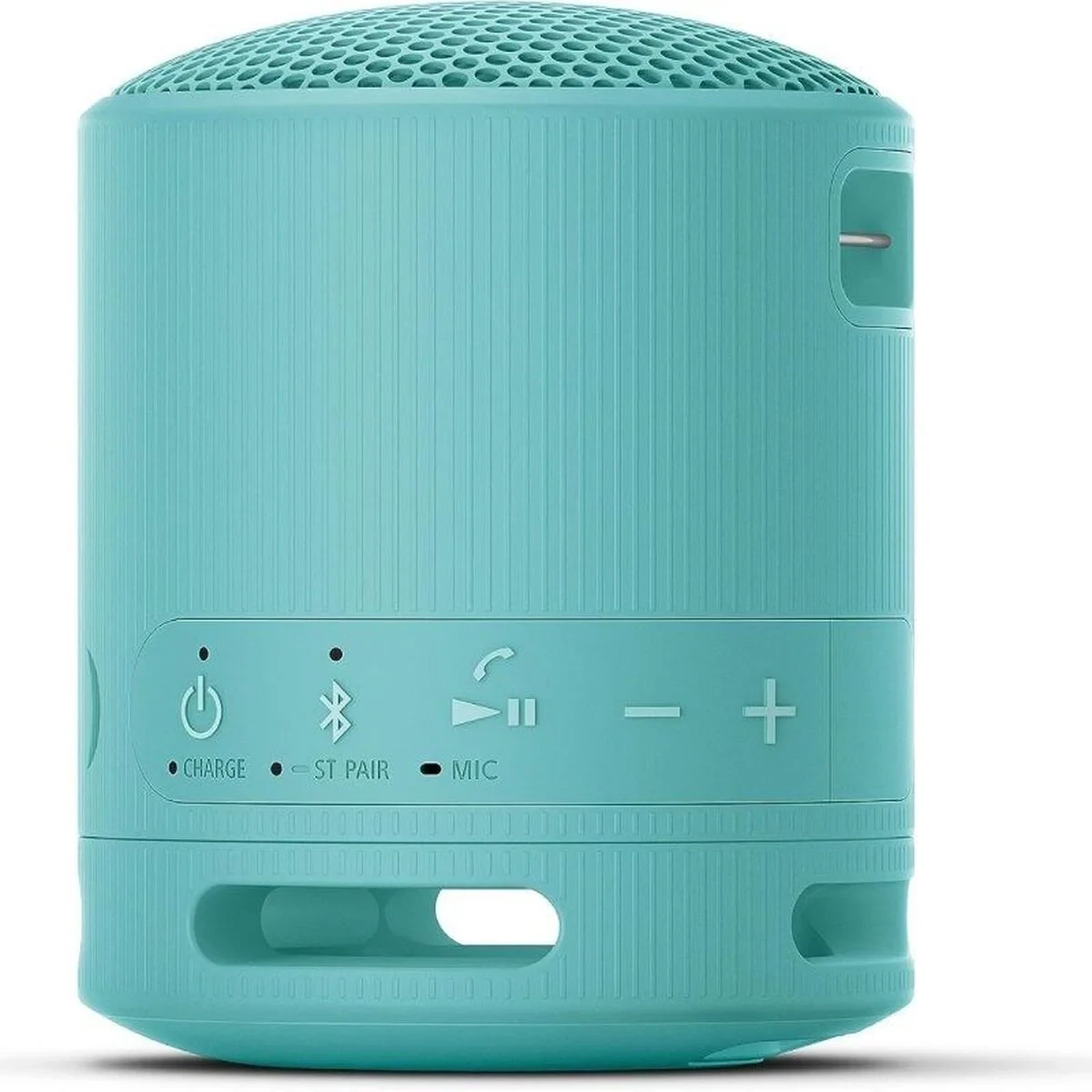 Altavoz Bluetooth Portátil Sony XB100 Azul