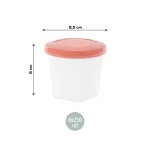 Set de Fiambreras Babymoov A004318 Blanco Multicolor 250 ml (6 Unidades)