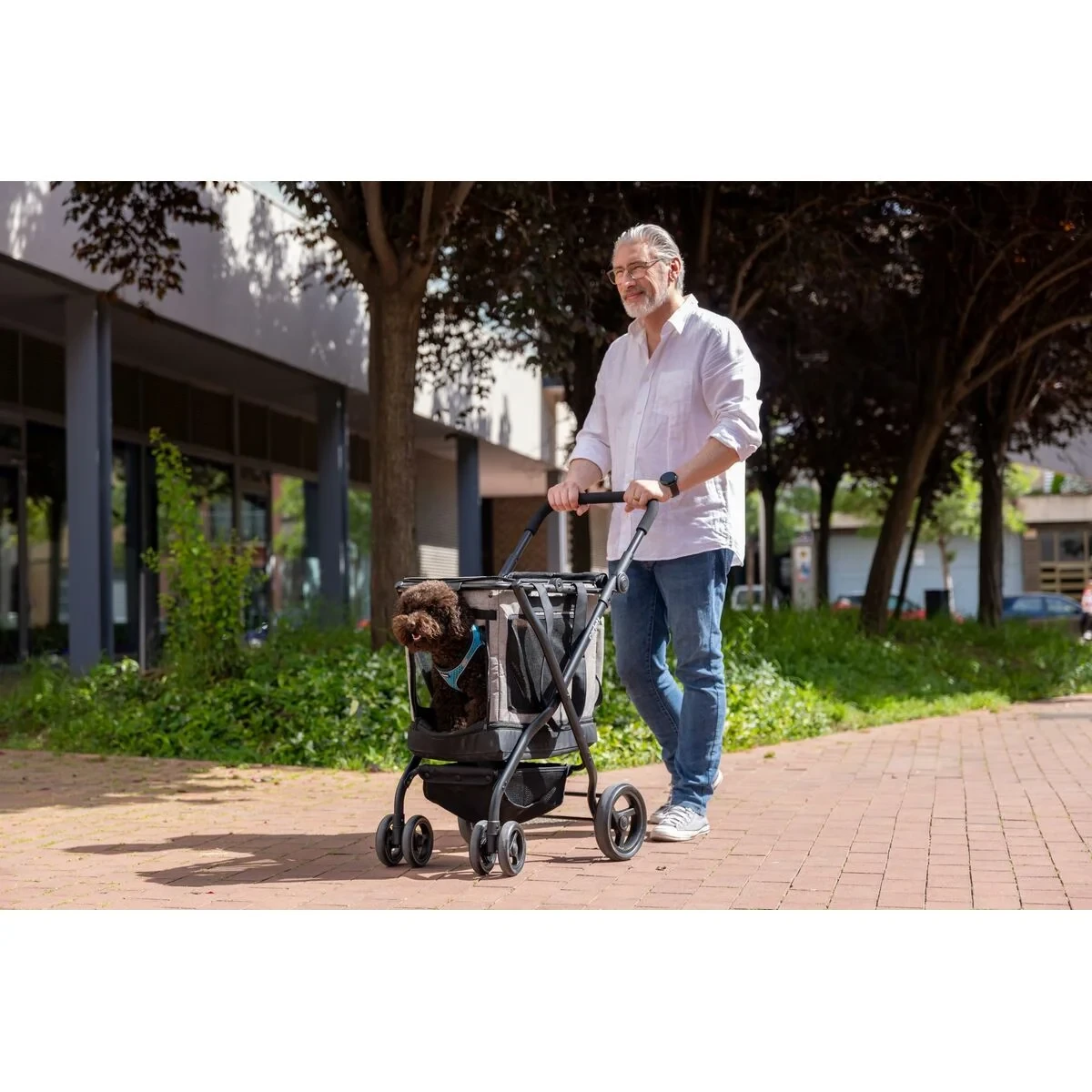 Carro de Compra Carlett CUBE P PINE Verde