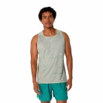 Camiseta de Tirantes Hombre Asics Fujitrail Singlet Gris Gris claro