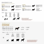 Sudadera para Perro Marvel Gris XS