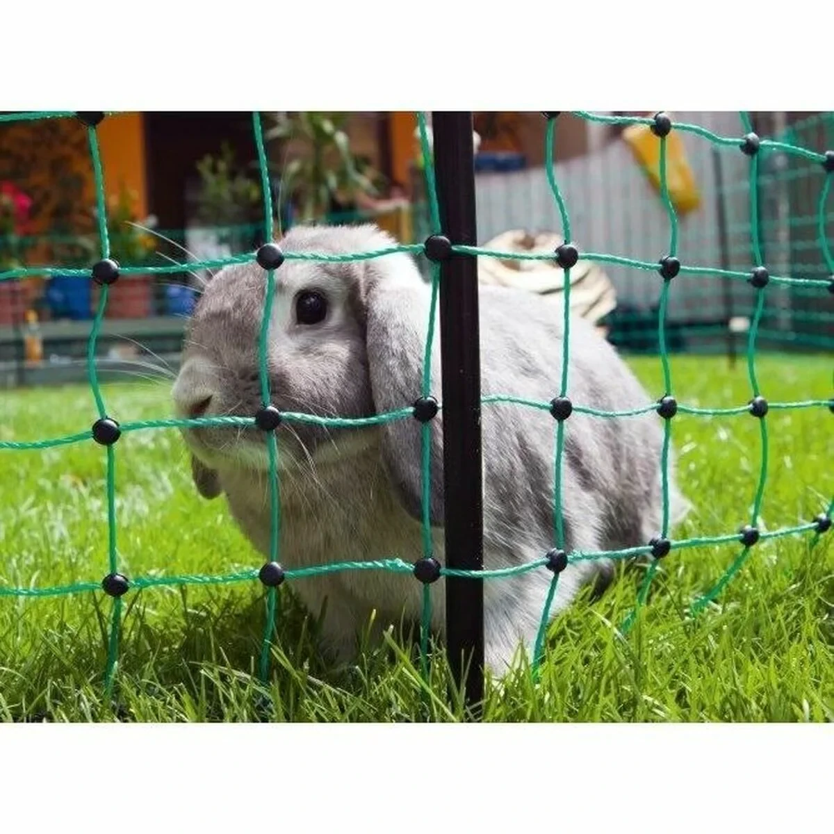 Red de Seguridad para Mascotas Kerbl Verde