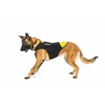 Arnés para Perro Julius K9 IDC L/XL 2