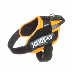 Arnés para Perro Julius K9 IDC Naranja L/XL 2 71-96 cm