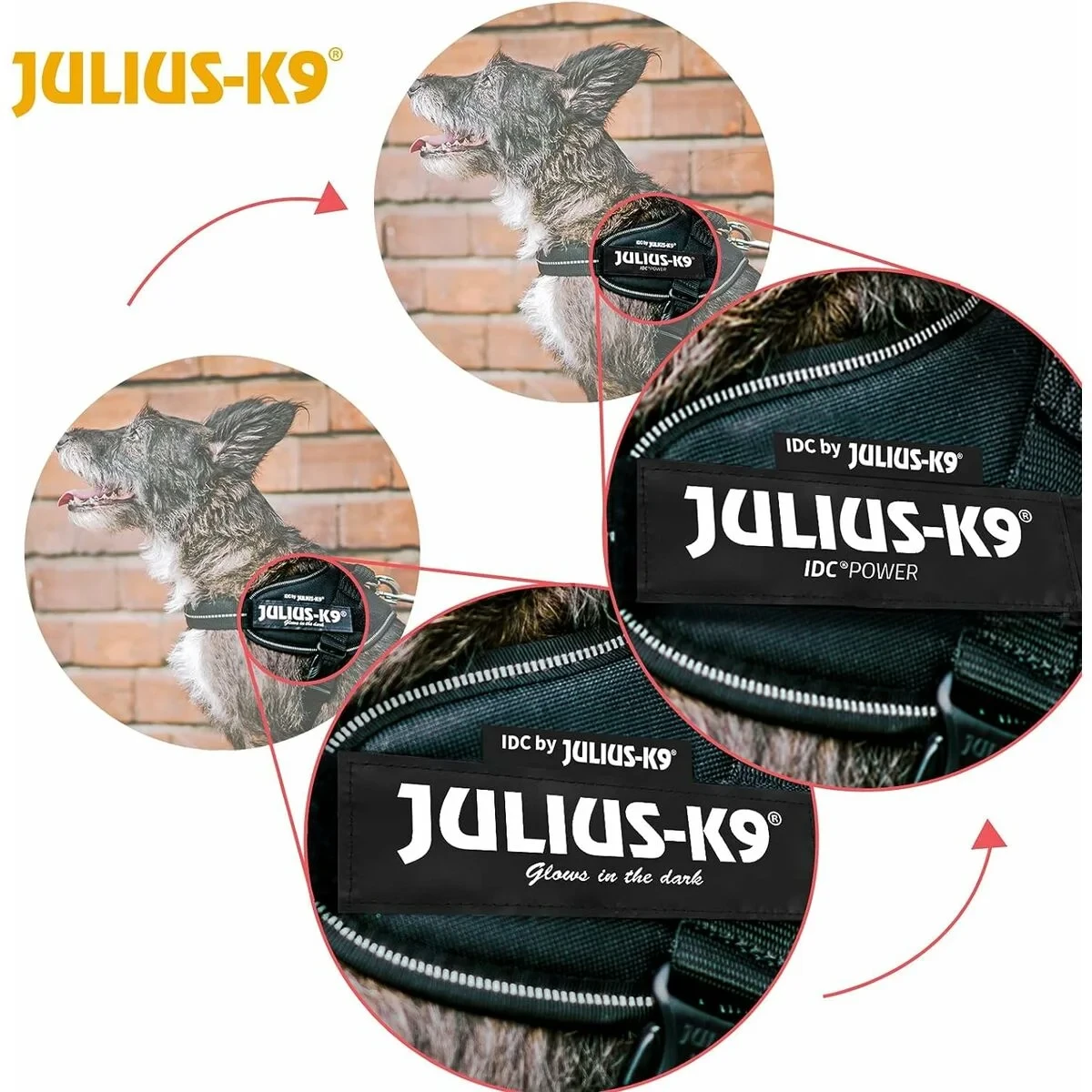 Arnés para Perro Julius K9 IDC Negro S