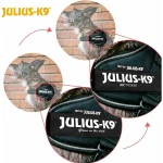 Arnés para Perro Julius K9 IDC Negro S