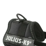 Arnés para Perro Julius K9 Power Negro 1 Baby 1 (XS)