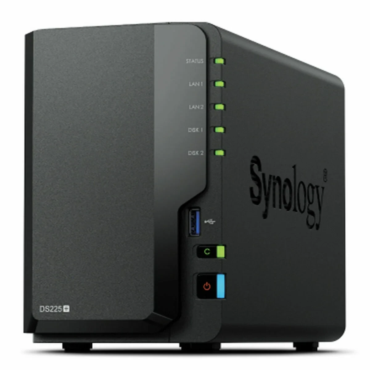 Almacenamiento en Red NAS Synology DS225+ Negro Intel Celeron Intel Celeron J4125