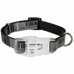 Collar LED para Mascotas Trixie Explore USB Negro S/M 30-45 cm