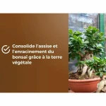 Tierra para macetas OR BRUN BROWN GOLD 6 L