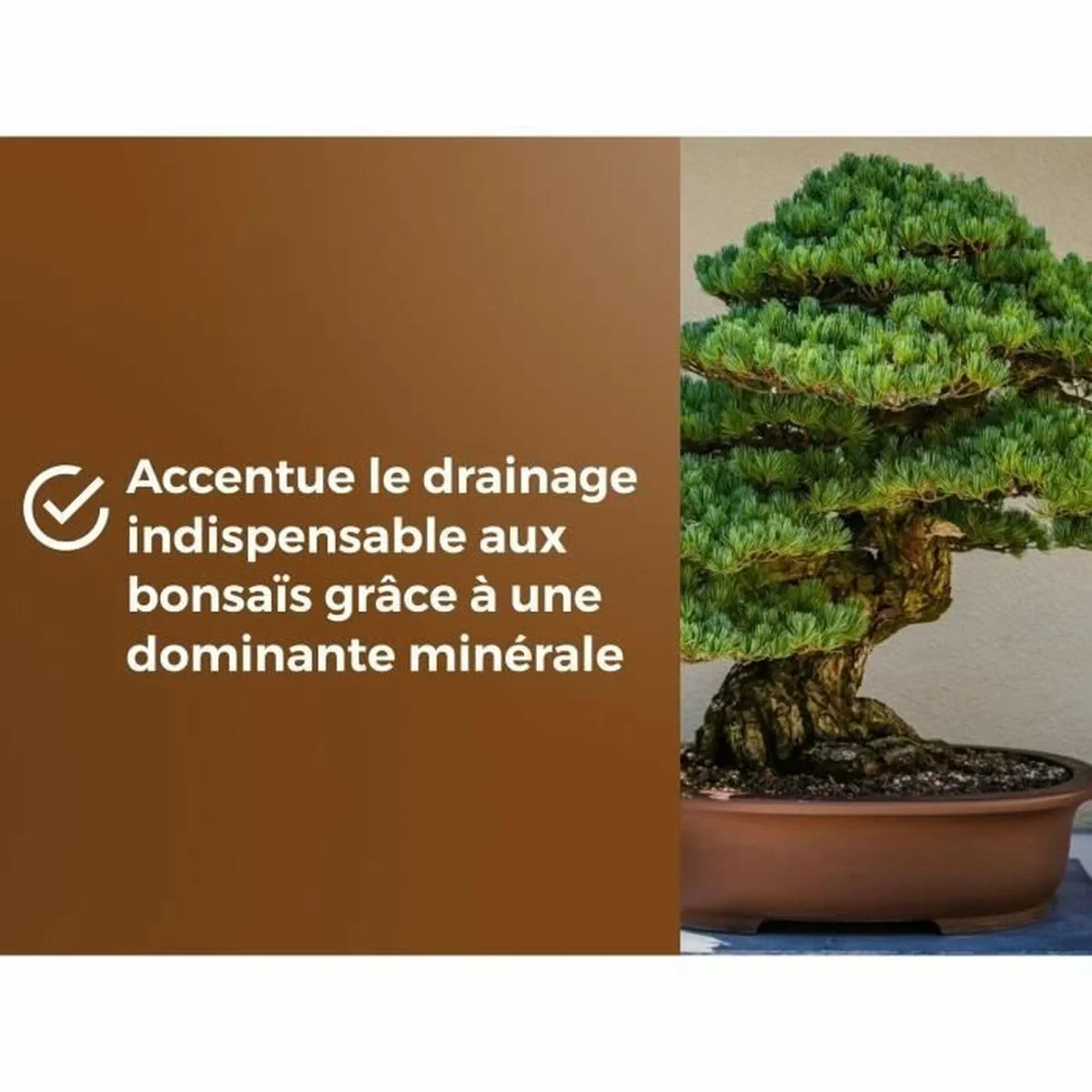 Tierra para macetas OR BRUN BROWN GOLD 6 L