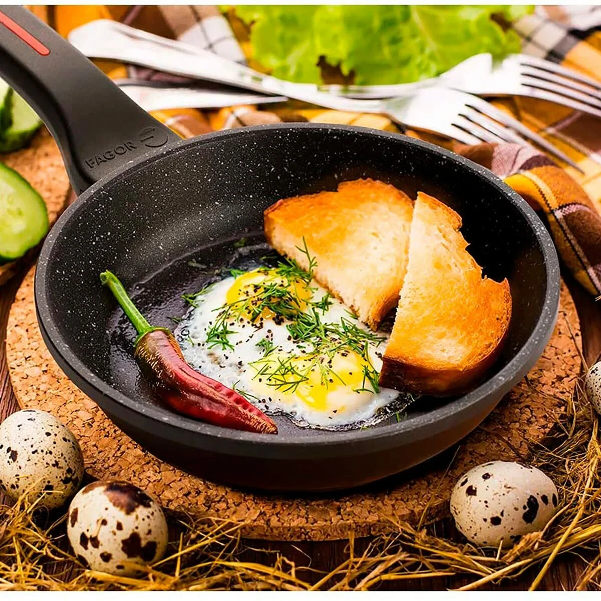 Sartén Fagor ALUTHERM 24 Negro