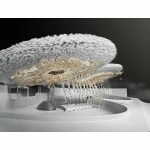 Robot Aspirador Dreame 6400 mAh