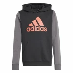 Sudadera con Capucha Niña Adidas Essentials Gris