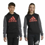 Sudadera con Capucha Niña Adidas Essentials Gris
