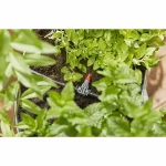 Dispositivo de Riego Automático Gardena NA