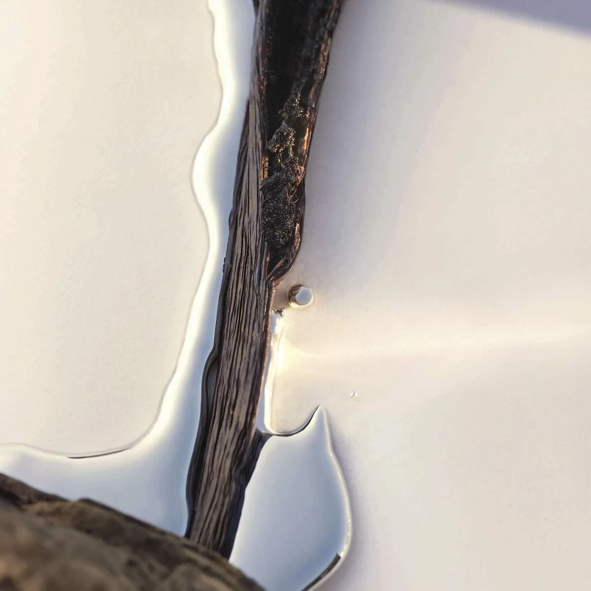 Perfume Mujer Hugo Boss 10002665 EDP 50 ml