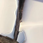 Perfume Mujer Hugo Boss 10002665 EDP 50 ml