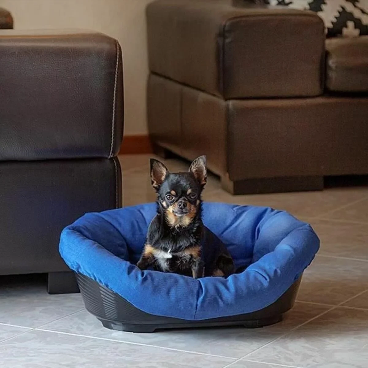 Cama para Perro Ferplast