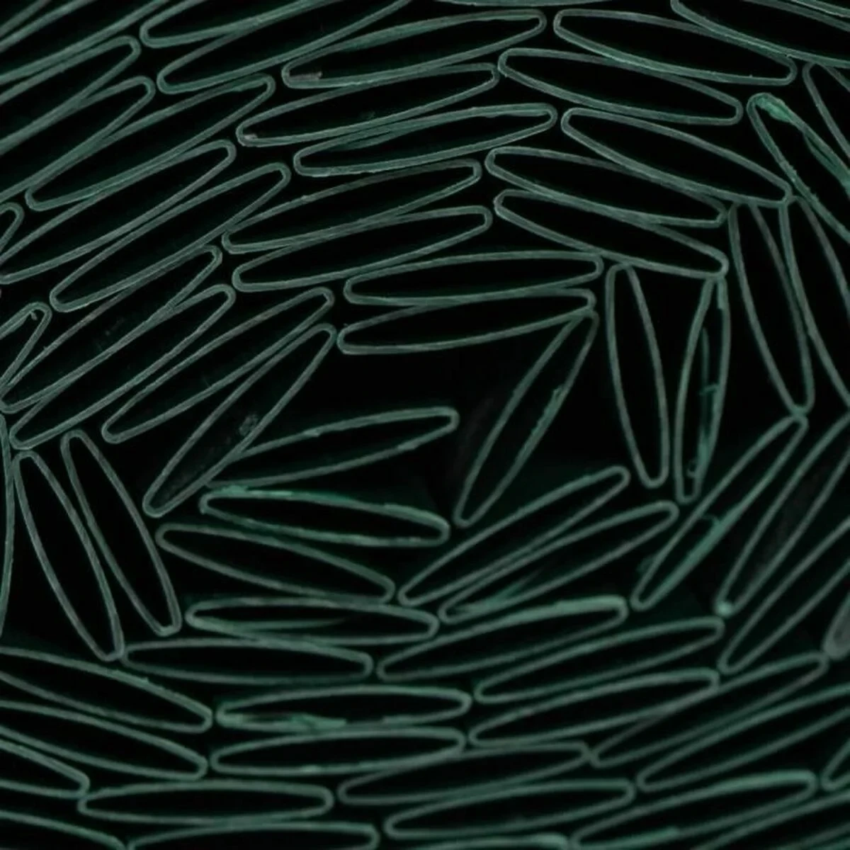 Malla de Ocultación Nature Verde