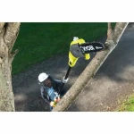 Podadora eléctrica extensible Ryobi RPP182020