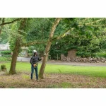 Podadora eléctrica extensible Ryobi RPP182020