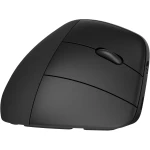 Ratón Ergonómico Óptico HP 925 Negro