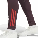 Pantalón Largo Deportivo Adidas Fc Bayern 24/25 Tiro24 Marrón Granate Hombre