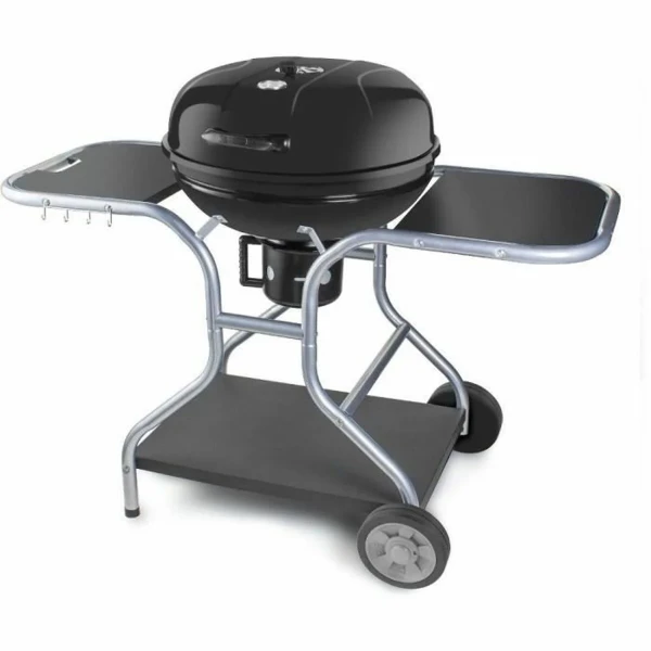 Barbacoa Portátil Fieldmann FZG 1014 Metal Acero