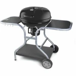 Barbacoa Portátil Fieldmann FZG 1014 Metal Acero