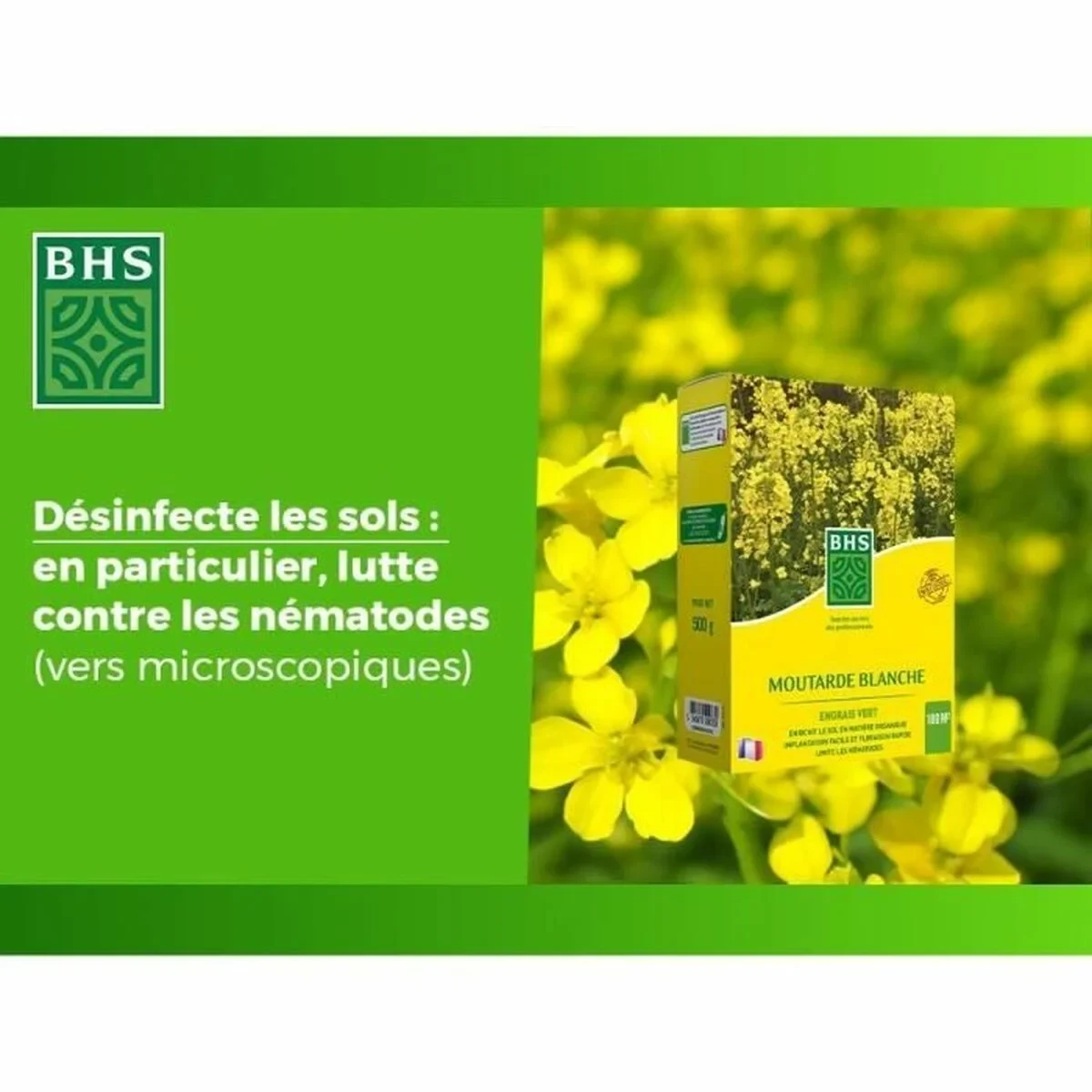 Fertilizante para plantas BHS 500 g