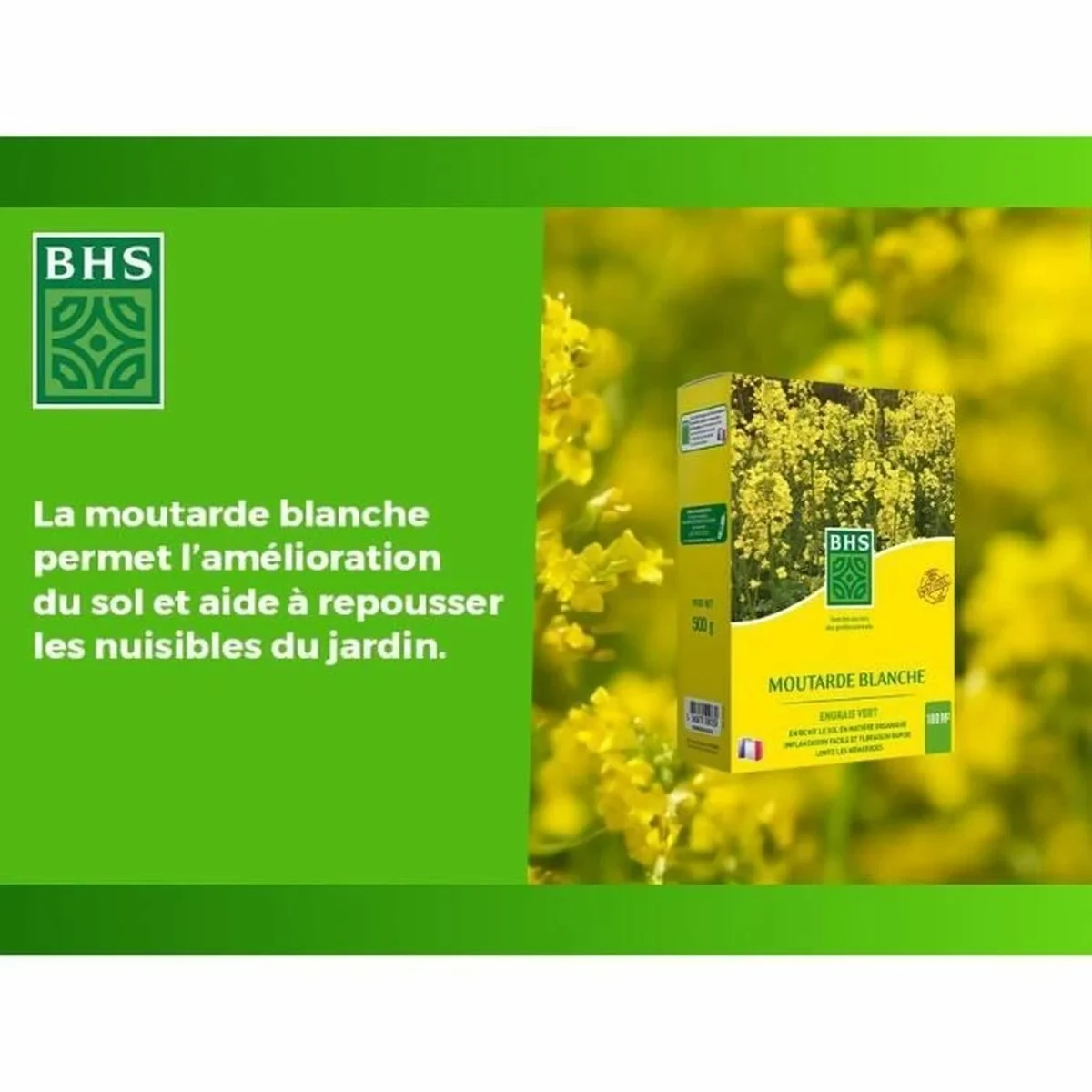 Fertilizante para plantas BHS 500 g