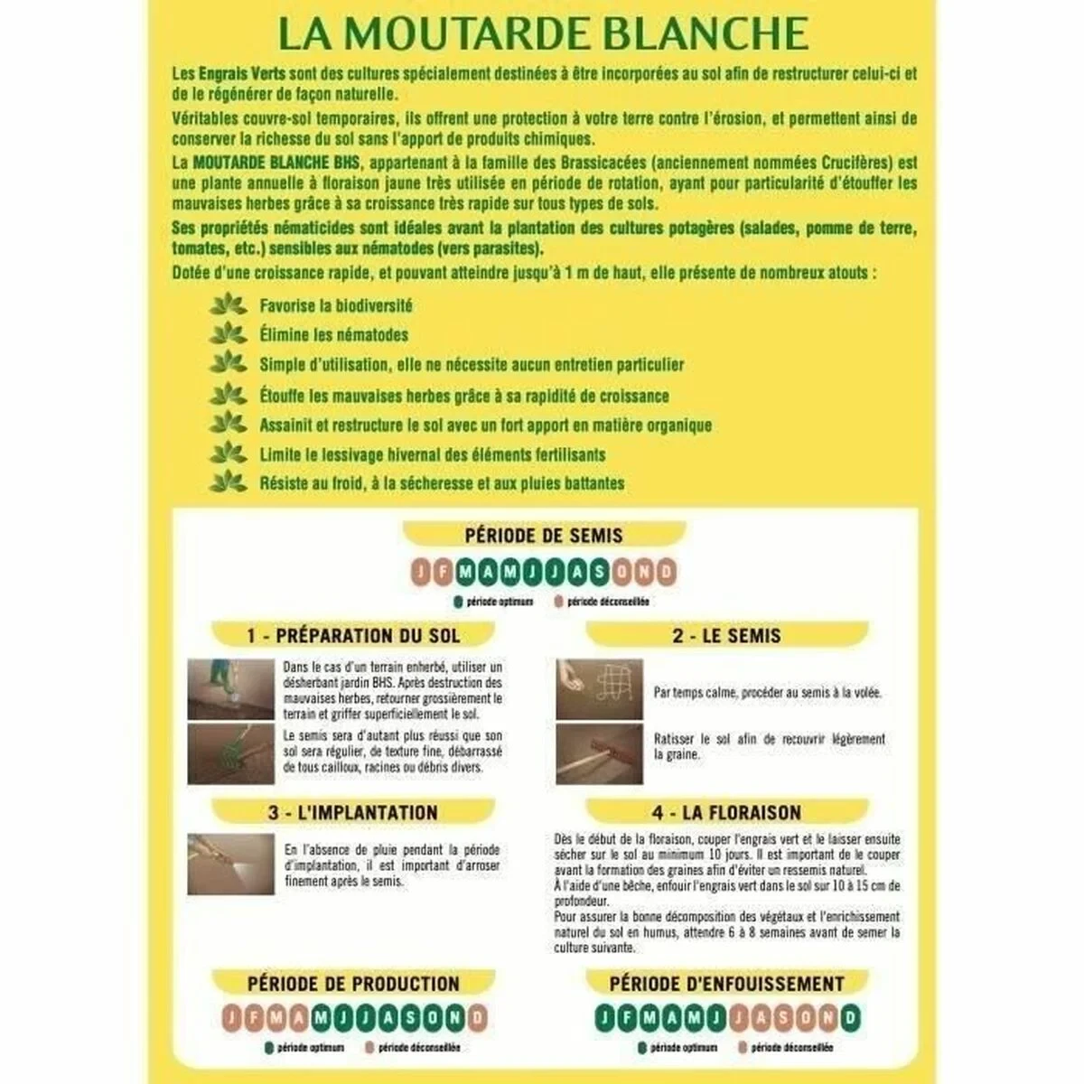 Fertilizante para plantas BHS 500 g