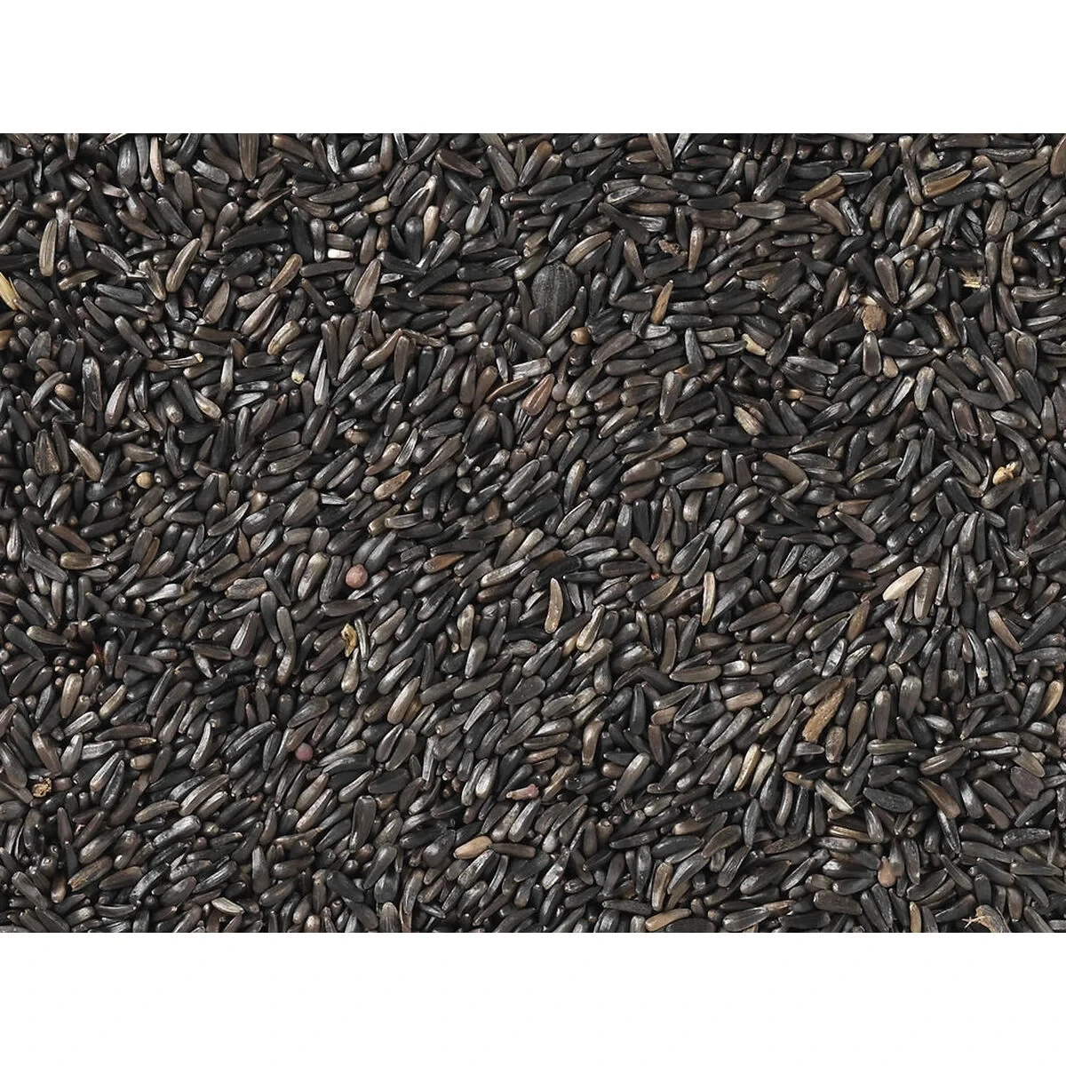 Comida para pájaros Deli Nature Premium 1 kg