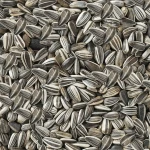 Comida para pájaros Deli Nature Premium 2,5 kg