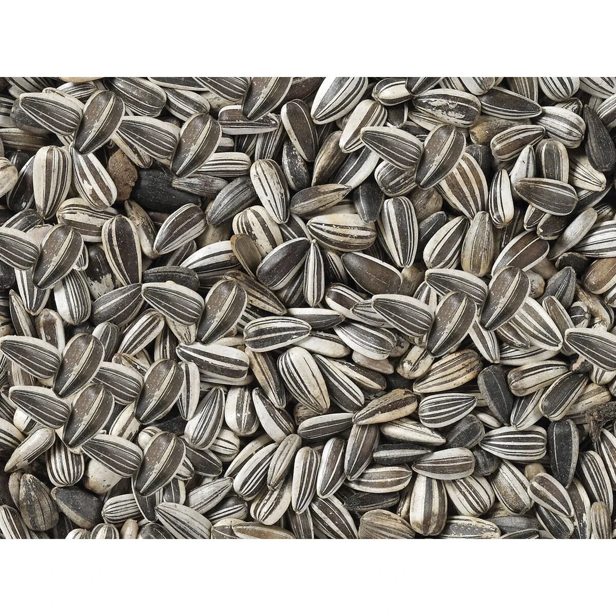 Comida para pájaros Deli Nature Premium 2,5 kg