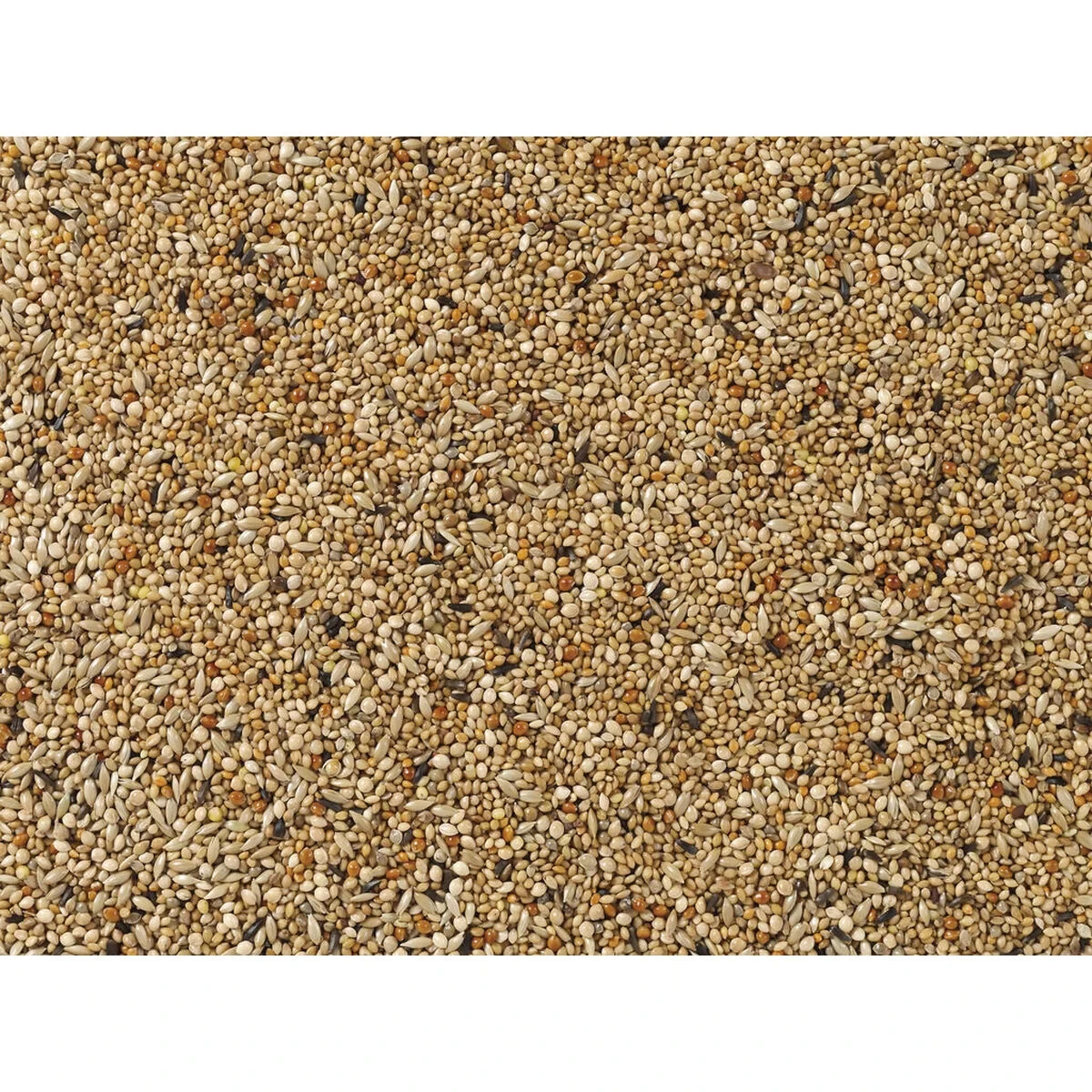 Comida para pájaros Deli Nature Premium 4 Kg