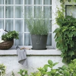 Plato para Maceta Deroma