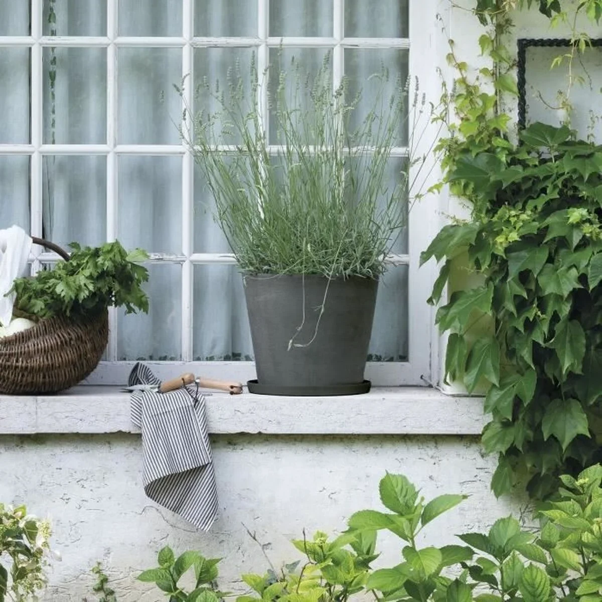 Plato para Maceta Deroma