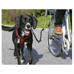 Correa para Perro Trixie S/M Reflectante Bicicleta