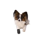 Botas Trixie Negro S